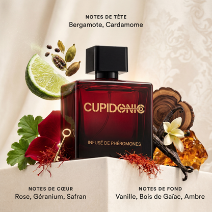 Notes olfactives Cupidonic Obsession 2 : bergamote, cardamome, rose, géranium, safran, vanille, bois de gaïac, ambre